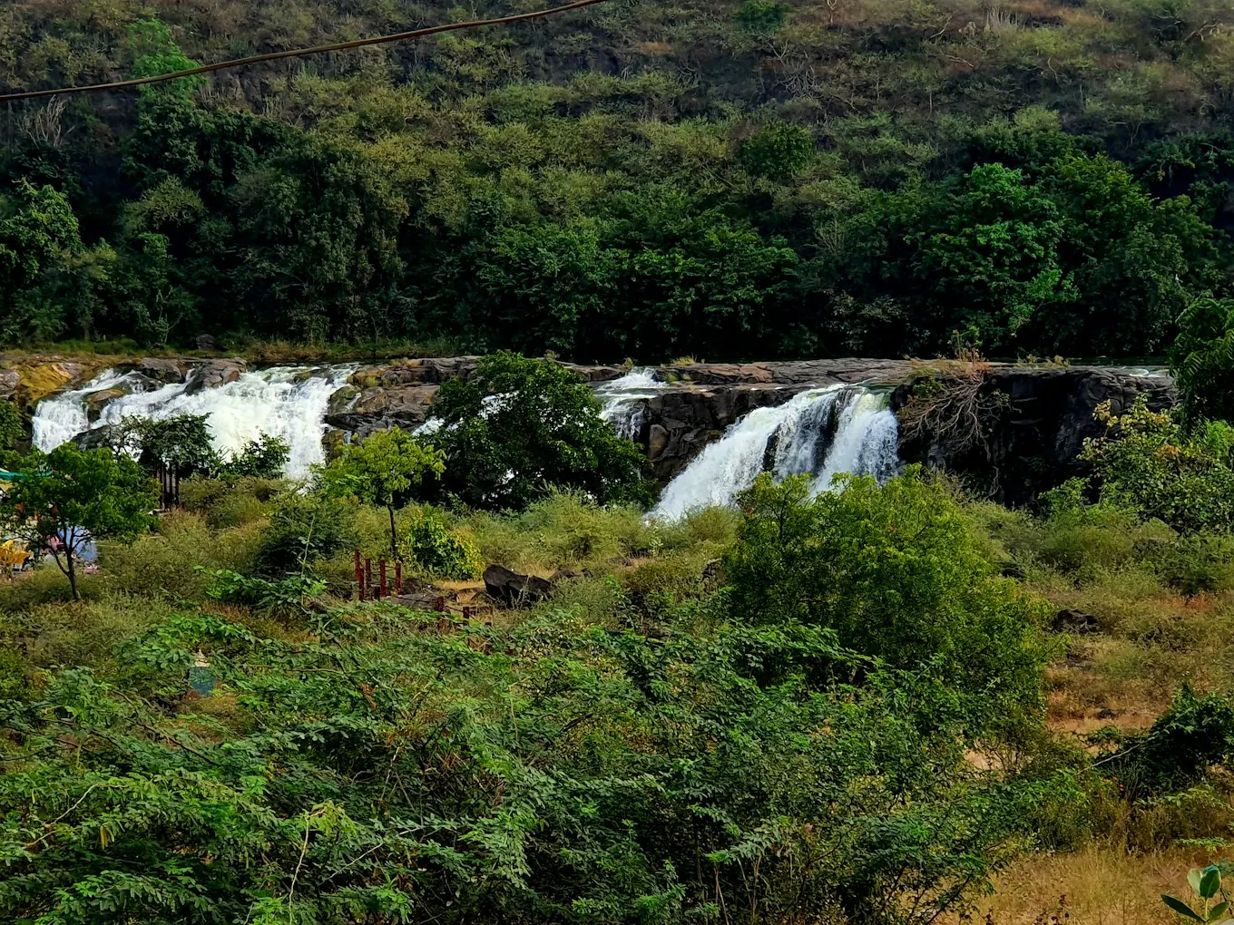 Waterfall in forest